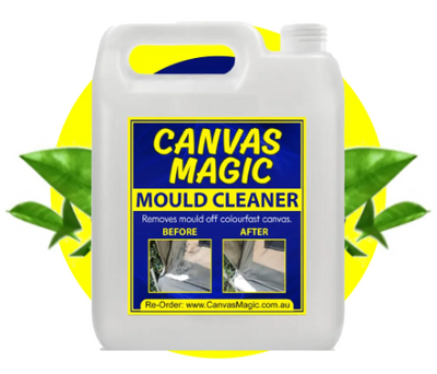 CANVAS MAGIC